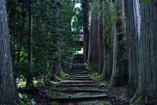 【国中地区】静寂の杉木立に建つ清水寺（佐渡市新穂大野）
