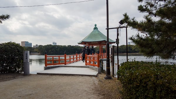 能楽堂を過ぎ、浮見堂に来たところ。爽大感を感じる景観を堪能していると、たくさんの鳥たちに出会えます