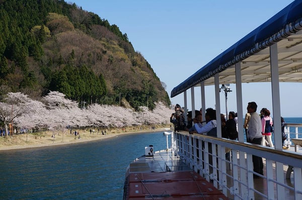 画像4_1_桜クルーズ