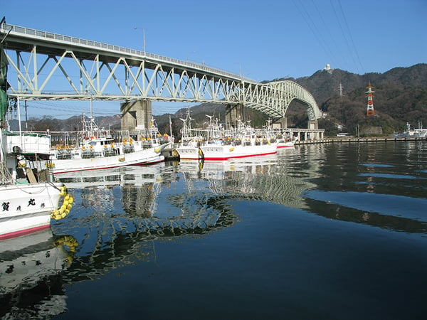海鮮グルメや土産物店も充実している境港漁港<br>写真提供：鳥取県