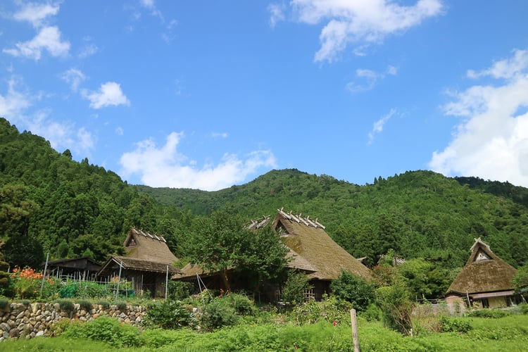 南丹市を代表する観光スポット「美山かやぶきの里」。昔ながらの茅葺き屋根の家屋が残る山間の集落<br>写真提供：美山DMO