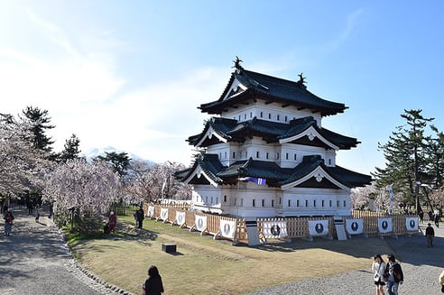 弘前城天守と桜