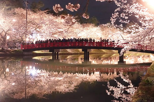 1-2_弘前城の夜桜ライトアップ