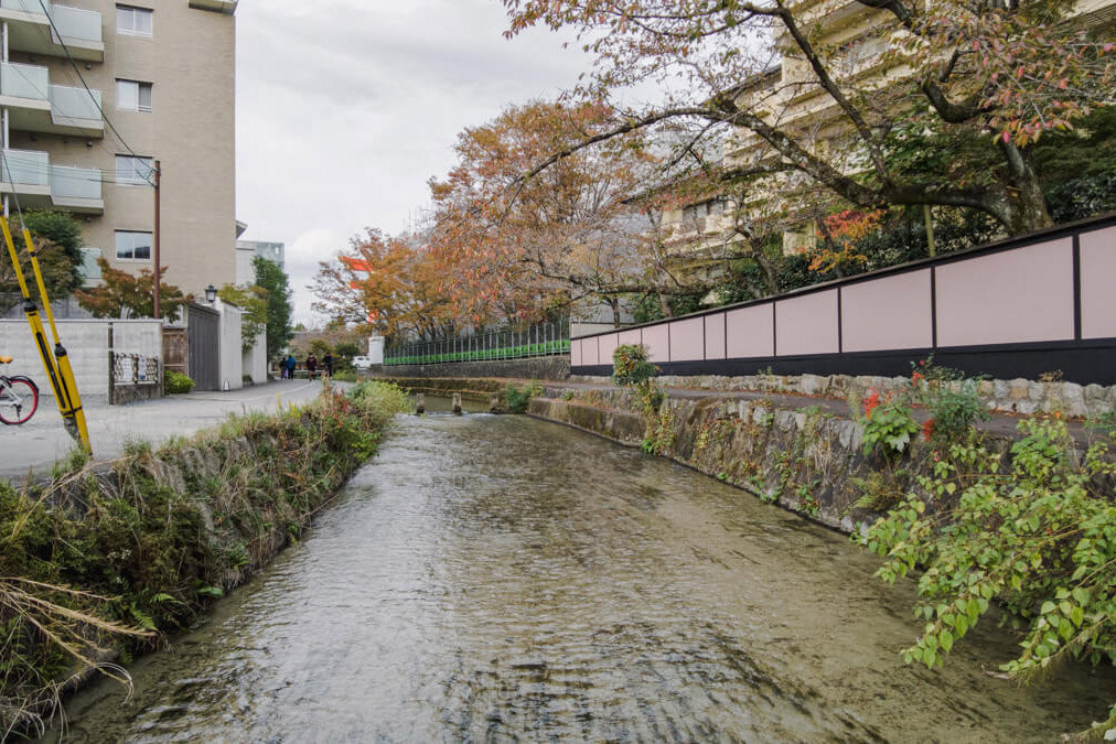 京都観世会館の脇を流れる白川沿いの路地は風情があります