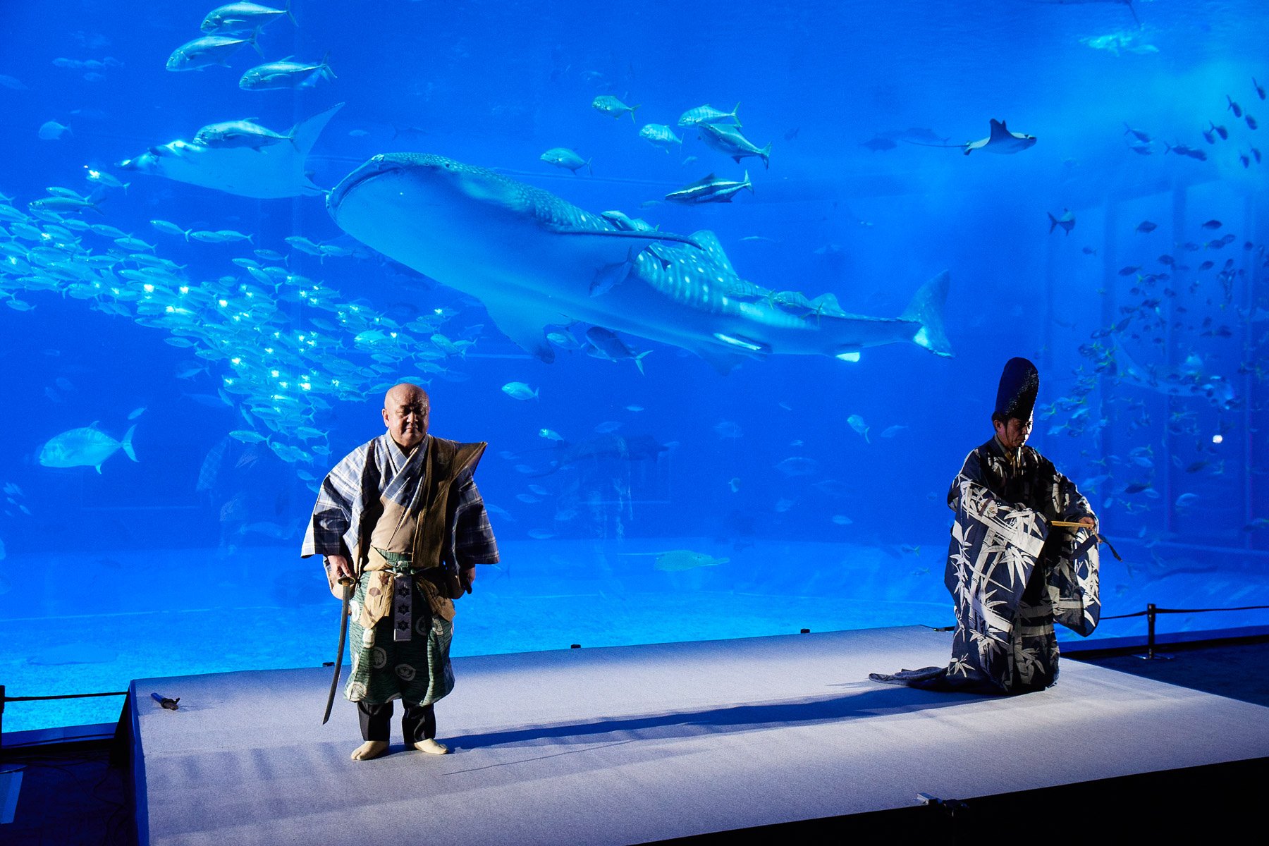 狂言「昆布売」