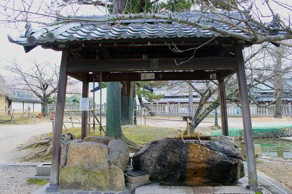 手水舎の左隣にあるのが、帝が見失った鷹がその水面に映ったとされる鷹乃井という名の井戸
