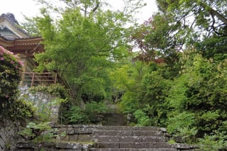 【国中地区】佐渡市長谷 長谷寺