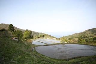 【前浜地区】岩首昇竜棚田 岩首地区の標高350mを超える山間に広がる