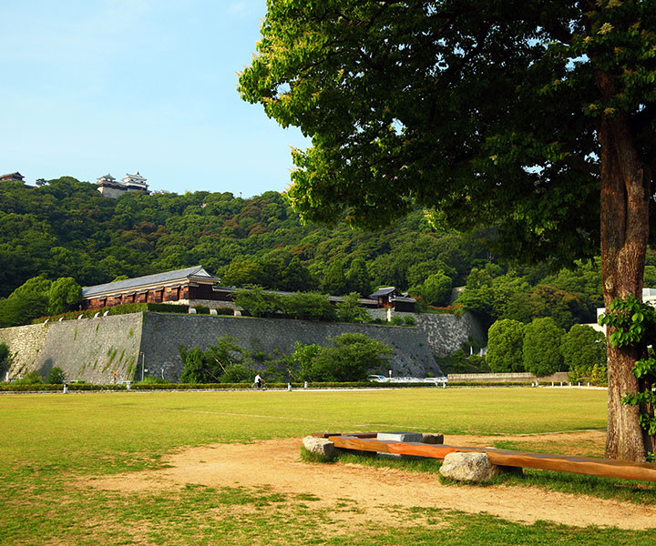 城山公園より二の丸・本丸を望む