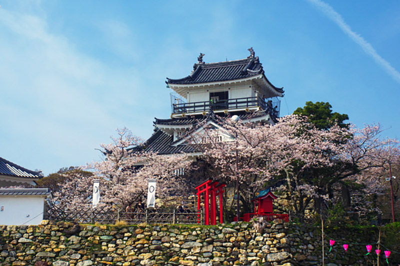 Castle Tower and Castle Gate Rebuilt After the Showa Period