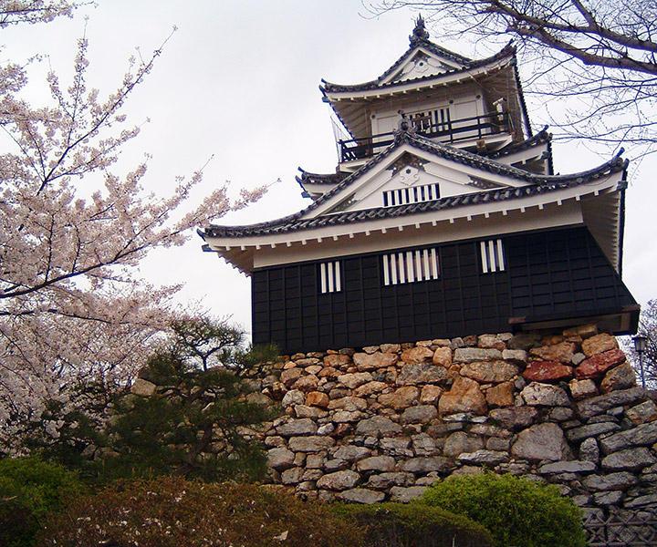 The Rebuilt New Castle Tower