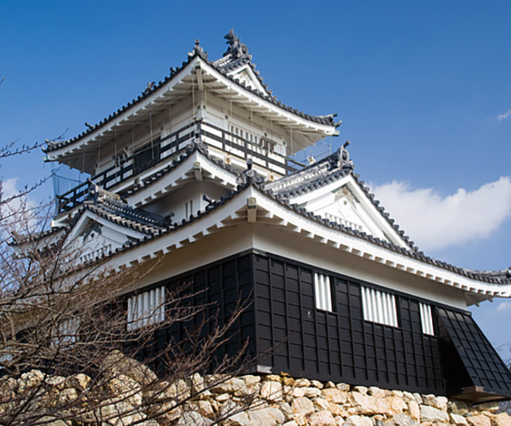 Hamamatsu Castle