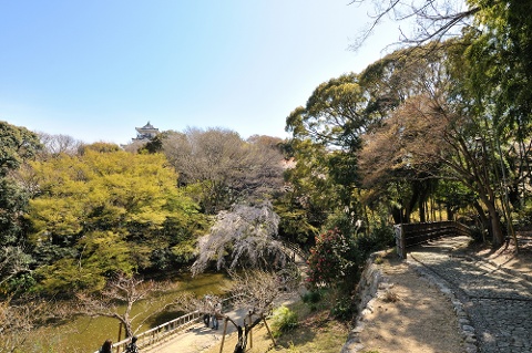 Hamamatsu Castle Park, a Famous Spot for Cherry Blossoms