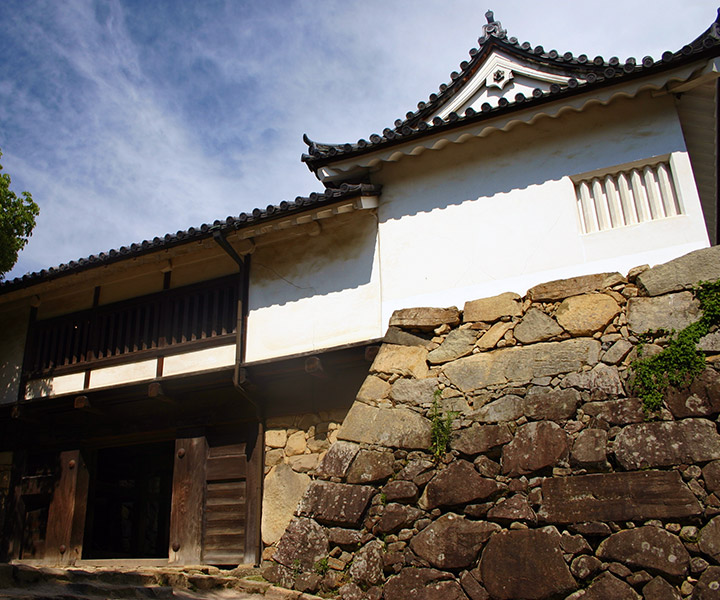 Taikomon Yagura (Important Cultural Property)