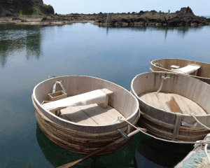 Tub boat