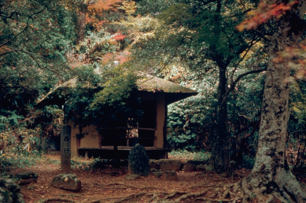 秋の吉野