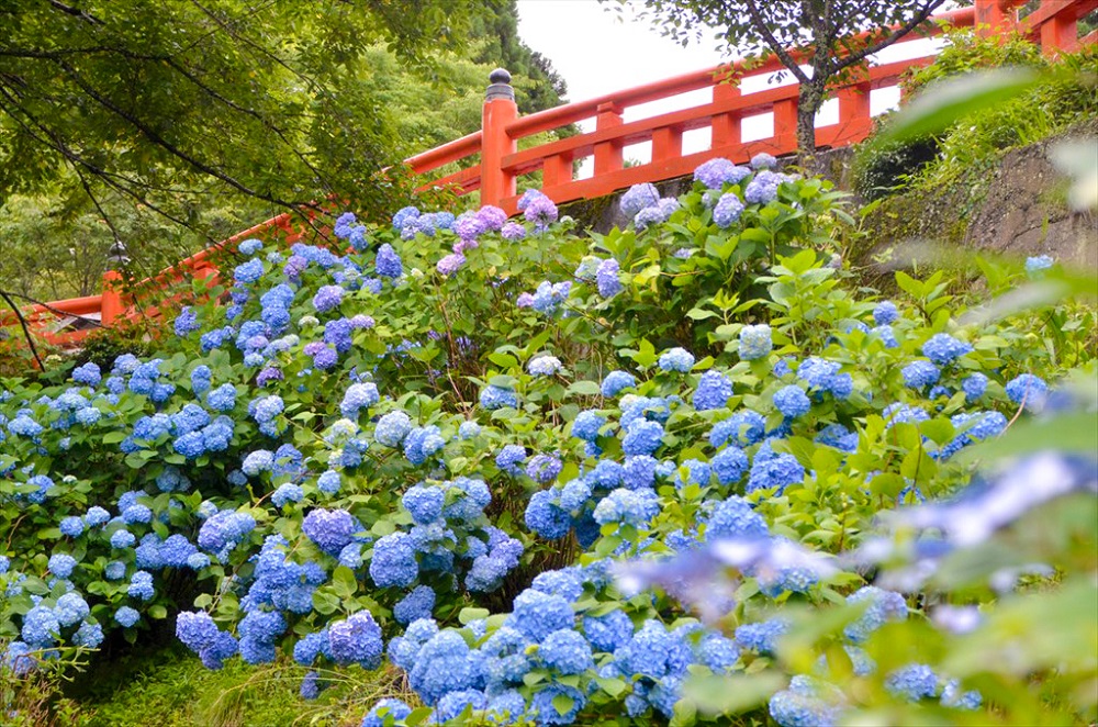 夏の吉野